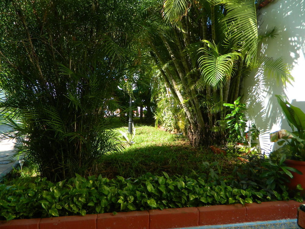 Hotel Colon Mérida Eksteriør billede